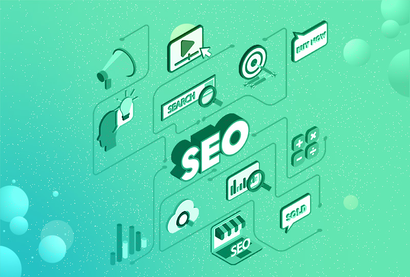 SEO 800