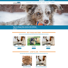 宠物行业外贸网站设计方案